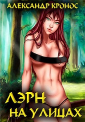 Обложка книги https://knigi.click/7887-ljern-na-ulicah-si.html