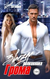 Обложка книги https://knigi.click/6752-zvezda-polkovnika-groma.html
