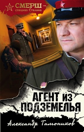 Обложка книги https://knigi.click/9959-agent-iz-podzemelja.html