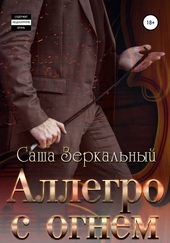 Обложка книги https://knigi.click/10034-allegro-s-ognem.html