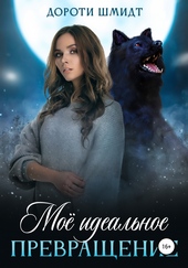 Обложка книги https://knigi.click/8084-moe-idealnoe-prevraschenie.html
