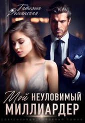Обложка книги https://knigi.click/8103-moj-neulovimyj-milliarder-si.html