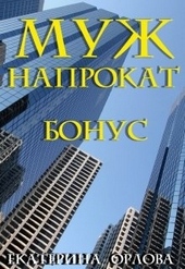 Обложка книги https://knigi.click/8149-muzh-naprokat-bonus.html
