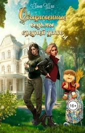 Обложка книги https://knigi.click/8448-obyknovennye-vedmy-srednej-polosy.html