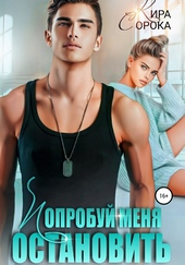 Обложка книги https://knigi.click/8721-poprobuj-menja-ostanovit.html