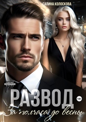 Обложка книги https://knigi.click/8932-razvod-za-polchasa-do-vesny.html