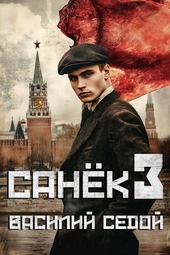 Обложка книги https://knigi.click/9002-sanek-3.html