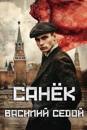Обложка книги https://knigi.click/9001-sanek-si.html