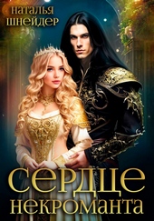 Обложка книги https://knigi.click/9056-serdce-nekromanta.html