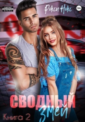 Обложка книги https://knigi.click/9285-svodnyj-zmej-kniga-2.html