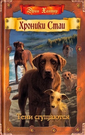 Обложка книги https://knigi.click/9364-teni-sguschajutsja.html