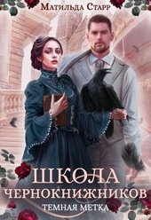 Обложка книги https://knigi.click/9379-temnaja-metka.html