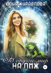 Обложка книги https://knigi.click/9531-v-drugoj-mir-na-pmzh.html