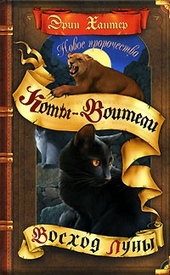 Обложка книги https://knigi.click/9655-voshod-luny.html