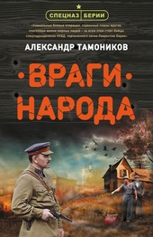 Обложка книги https://knigi.click/9674-vragi-naroda.html