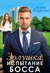 Обложка книги https://knigi.click/9876-zolushka-ispytanie-bossa-si.html