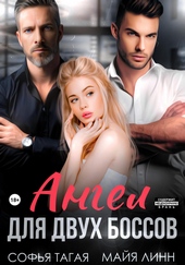 Обложка книги https://knigi.click/10052-angel-dlja-dvuh-bossov.html