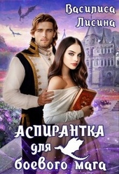 Обложка книги https://knigi.click/10105-aspirantka-dlja-boevogo-maga.html