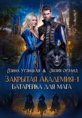 Обложка книги https://knigi.click/10151-batarejka-dlja-maga.html