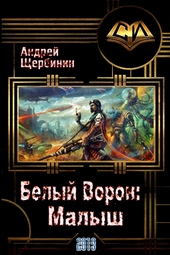 Обложка книги https://knigi.click/10187-belyj-voron-malysh.html