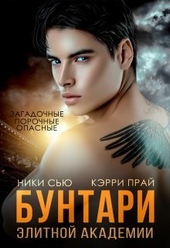 Обложка книги https://knigi.click/10408-buntari-jelitnoj-akademii.html