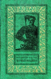 Обложка книги https://knigi.click/10504-chernyj-vsadnik.html