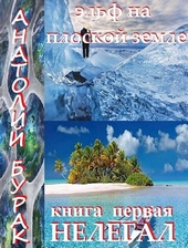 Обложка книги https://knigi.click/10980-jelf-na-ploskoj-zemle-kniga-1-nelegal.html