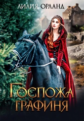 Обложка книги https://knigi.click/11225-gospozha-grafinja.html