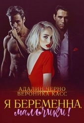 Обложка книги https://knigi.click/11294-ja-beremenna-malchiki.html