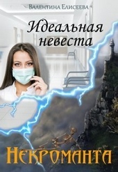 Обложка книги https://knigi.click/11434-idealnaja-nevesta-nekromanta-si.html