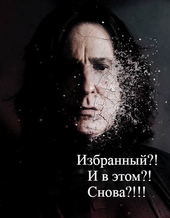 Обложка книги https://knigi.click/11658-izbrannyj-i-v-jetom-snova-si.html