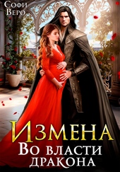 Обложка книги https://knigi.click/11717-izmena-vo-vlasti-drakona.html
