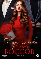 Обложка книги https://knigi.click/11797-karamelka-dlja-dvuh-bossov.html