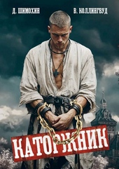 Обложка книги https://knigi.click/11816-katorzhnik.html