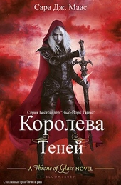 Обложка книги https://knigi.click/13114-koroleva-tenej-lp.html