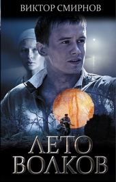 Обложка книги https://knigi.click/12308-leto-volkov.html