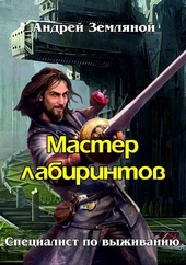 Обложка книги https://knigi.click/12559-master-labirintov.html