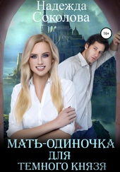 Обложка книги https://knigi.click/12568-mat-odinochka-dlja-temnogo-knjazja.html