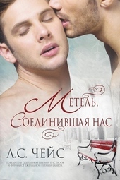 Обложка книги https://knigi.click/13119-metel-soedinivshaja-nas-lp.html