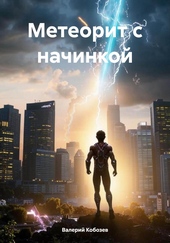 Обложка книги https://knigi.click/12639-meteorit-s-nachinkoj.html