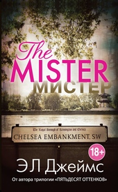 Обложка книги https://knigi.click/12694-mister.html