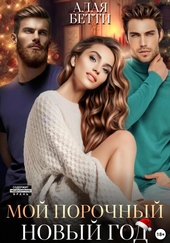 Обложка книги https://knigi.click/12768-moj-porochnyj-novyj-god.html