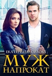 Обложка книги https://knigi.click/12877-muzh-naprokat.html
