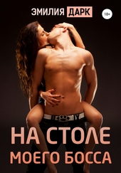 Обложка книги https://knigi.click/12935-na-stole-moego-bossa.html